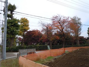 20101125Kouyou.jpg