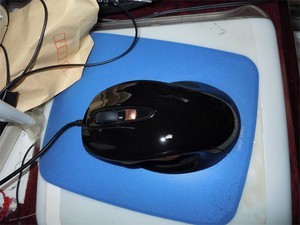 20101127Mouse2.jpg