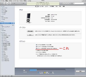 20101227iTune.jpg