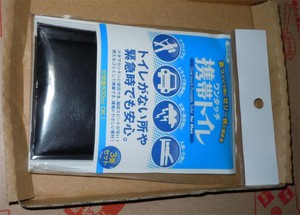 20101228Toile.jpg