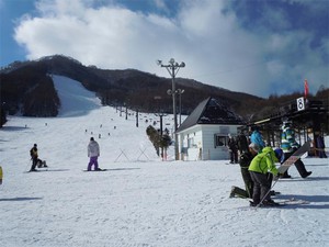 20101231E1.jpg