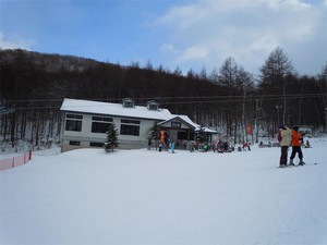 20101231E10.jpg