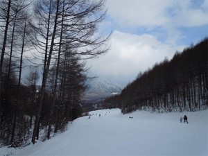 20101231E11.jpg