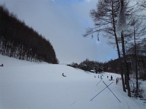 20101231E12.jpg