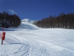 20101231E2.jpg