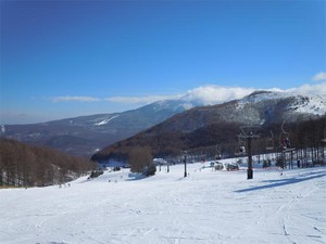 20101231E3.jpg