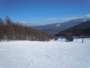 20101231E4.jpg