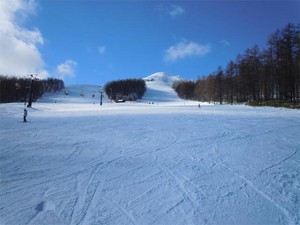 20101231E6.jpg