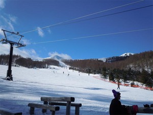 20101231E8.jpg