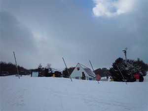 20101231E9.jpg