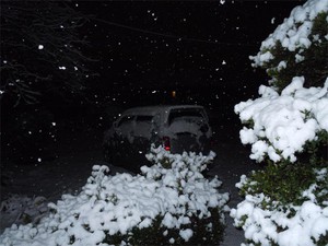 20110214OY1.jpg