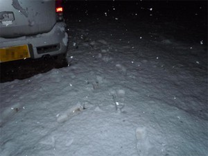20110214OY2.jpg
