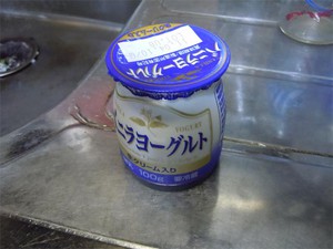 20110325Runa2.jpg