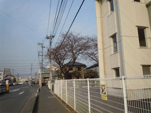 20110402S1.jpg