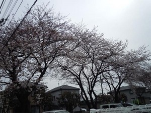 20110407S1.jpg