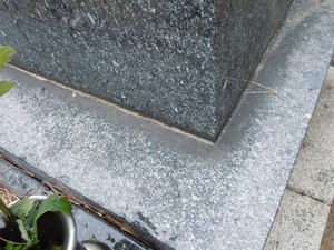 20110409H1.jpg