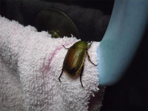 20110815_2.jpg