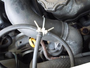 20110904_4.jpg