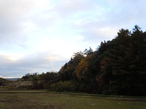 20111031_2.jpg