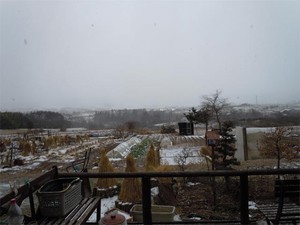 20111225_3.jpg