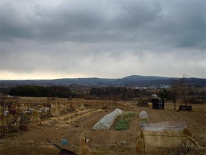 20120104_1.jpg