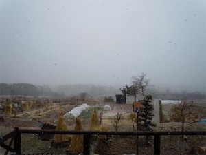 20120104_2.jpg