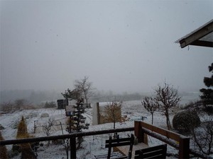 20120104_3.jpg