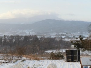 20120105_2.jpg