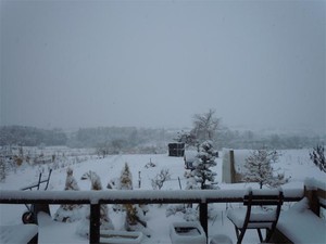 20120120_1.jpg