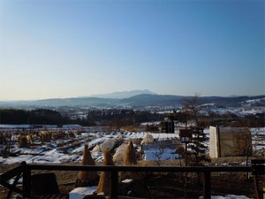 20120205_1.jpg