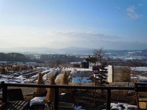 20120206_1.jpg