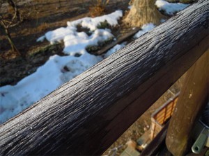 20120206_2.jpg