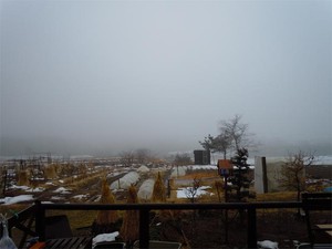 20120207_1.jpg
