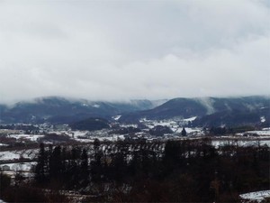 20120207_2.jpg