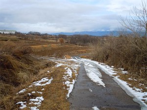 20120207_5.jpg