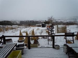 20120208_1.jpg