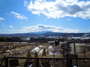 20120208_3.jpg
