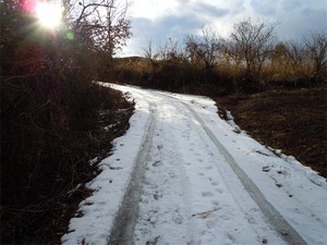 20120208_6.jpg