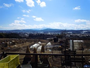 20120211_6.jpg