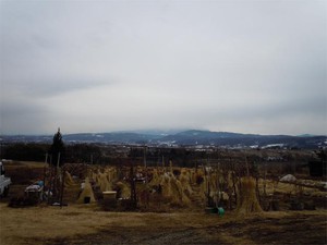 20120213_2.jpg