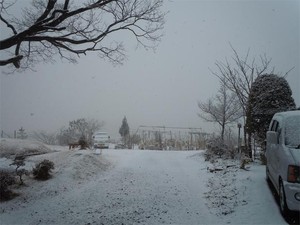 20120214_2.jpg