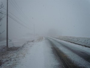 20120214_3.jpg