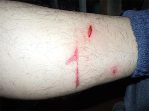 20120216_5.jpg