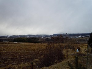 20120217_3.jpg