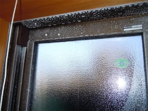 20120219_4.jpg
