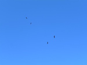 20120220_2.jpg