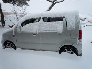 20120229_2.jpg