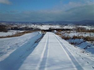 20120229_4.jpg