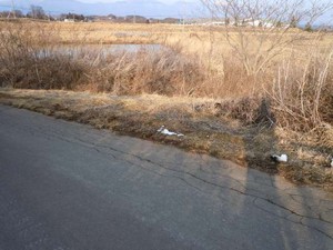20120303_3.jpg
