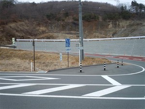 20120308_2.jpg